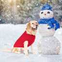 BINGPET Thermal Knitted Dog Sweater for Small Medium Large Dogs,Winter Dog Cat Coat Warm Sweartershirts Outfits,Classic Cable Knit Turtleneck Pullover Dog Jumper Coat Warm Sweartershirts