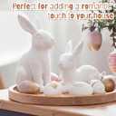 Set of 2 White Frosted Rustic Easter Bunny Figurines - Distressed Resin Rabbit Statues for Farmhouse Home Decor - Vintage Spring Bunny Ornaments for Tabletop, Mantel & Shelf Display