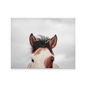 JLA Home It's In The Eyes Printed Canvas 28*22