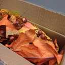 Winlyn 3 Pack Fall Faux Potted Plants Rustic Thanksgiving Floral Arrangements Artificial Fall Harvest Maple Leaf Picks in Metal Pots for Kitchen Home Autumn Wedding Table Centerpieces Mantel Decor