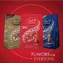 Lindt LINDOR Milk Chocolate Candy Truffles, Milk Chocolate with Melting Truffle Center, 15.2 oz. Bag