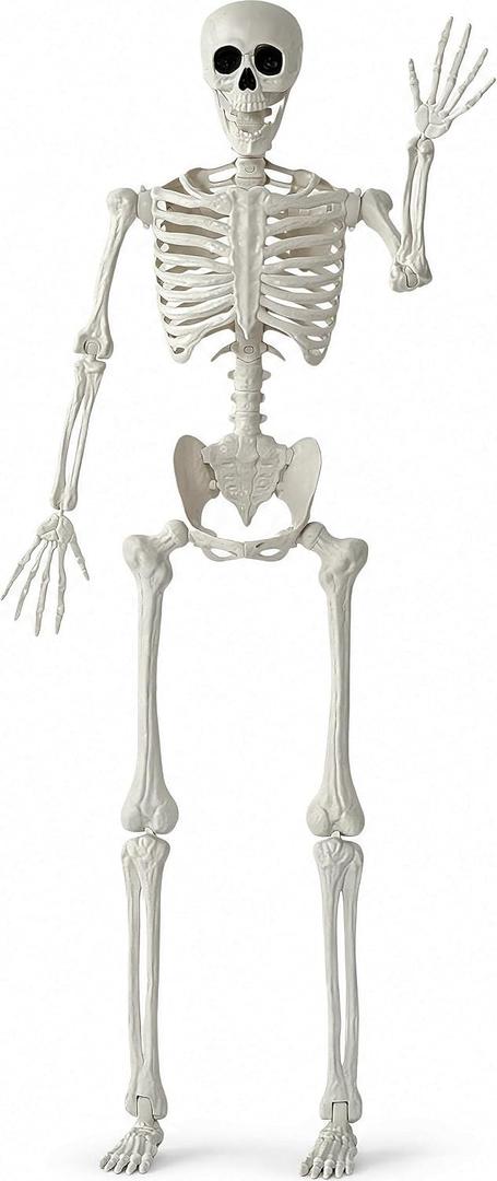 JOYIN 5 FT Halloween Skeleton Life Size, Stayable Posable White Skeleton Decor, Full Body Movable Joints Giant Skeletons for Halloween Decoration, Spooky Scary Graveyard Party, Haunted House Prop