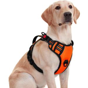 rabbitgoo Dog Harness for Large Dogs, No Pull Pet Harness with Soft Padded Handle, Adjustable Reflective Vest with 3 Buckles, Easy Walking Harness with 2 Leash Clips, Orange, Medium