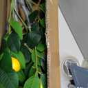 Warmplants Artificial Lemon Tree, 5ft Tall Fake Lemon Silk Plant with White Planter, Faux Lemon Plastic Fruit Tree for Indoor Home Decor Office Garden