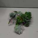 Anoak Artificial Succulent Plants - 16 Pcs Set Faux Succulents Unpotted Fake Succulent Plants, Premium Crafting DIY Floral Decor for Home Garden Office Party (High Realistic)