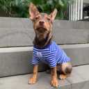 YQYS Pet T-Shirts Thick Striped Cotton Tee Shirt for Small Dogs and Cats Puppy Clothes Apparel Clothing for Teacup Chihuahua Yorkie Poodle Blue White Small
