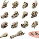 14 Pcs 1.5 Inch Mini Resin Animal Skull Heads Miniature Animal Skull Figurines Mini Halloween Skulls Mini Skull Figurine Miniature Skulls for Crafts Halloween Christmas Micro Landscape Decor