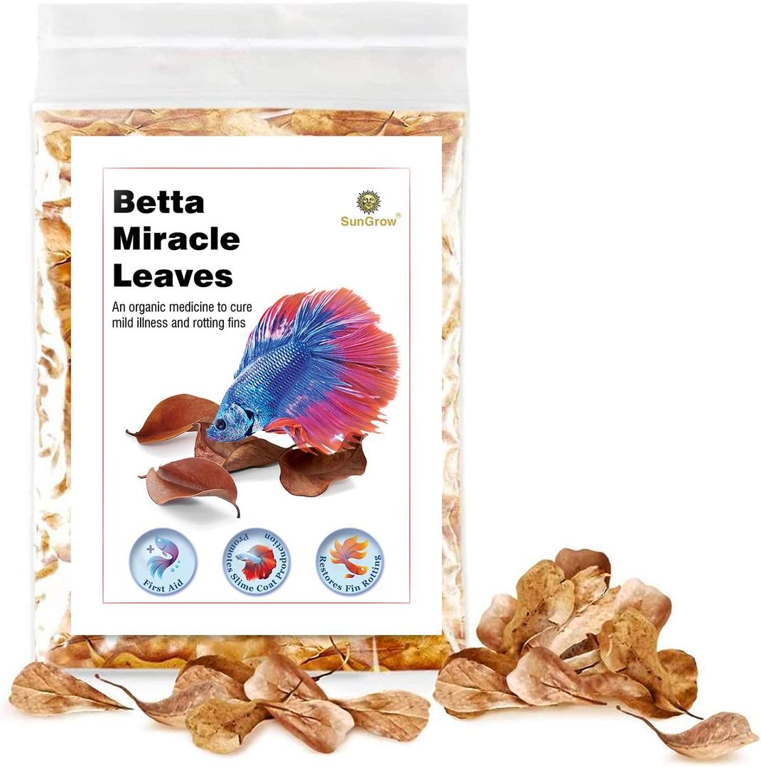 SunGrow 50 pcs Catappa Indian Almond Leaves for Betta Fish Tank Aquarium, 2 Water Conditioner Leaves, Leaf Also Suitable for Shrimp, Goldfish, Guppy and Frogs