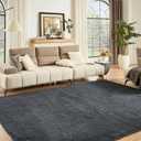 Floralux Area Rugs 9x12 Living Room, Dark Grey, Large Shag Rug Bedroom Rug, Ultra Soft Shaggy Fluffy Carpet for Playroom, Plush Modern Carpets for Kids Room, Dorm Home Decor Aesthetic