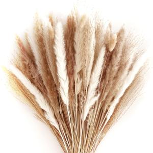 80pcs-Natural Dried Small Pampas Grass Bouquet-20pcs White Pampas, 20pcs Brown Pampas, 30pcs Reed Grass, 10pcs Beige Bunny Tail-22.4" Fluffy Dried Branches Bundle-Home Decor,Wedding Plant Arrangements