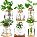Honeydak 5 Pcs Plants Propagation Stations Planter Terrariums with Wooden Lid and Bamboo Stand Desktop Glass Propagation Vases for Plant Growing Hydroponic Home Office Tabletop Decoration