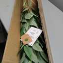 Artificial Eucalyptus Tree,4Ft Tree Fake Plant in Pot for Home and Office Decor,Potted Faux Plants Tall Artificial Trees for Indoor, Outdoor