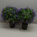 21.6” Tall Artificial Lavender Topiary Ball Tree Set of 2 Pack Potted Bushes UV Resistant Potted Plants for Indoor Outdoor Home Garden(Purple)