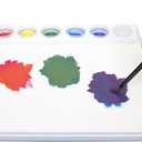 Masterson Sta-Wet Painter's Pal with Airtight Lid, 13 X 12 X 1.5 inches, Includes Solvent Cup, 5 Paint Cups & Brush Storage (912)