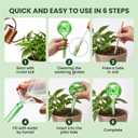 Self Watering Globes, 6 Pack Plant Watering Globes, Glass Automatic Auto Plant Water Bulbs for Indoor & Outdoor Plants,Multicolor Medium, for Daily UseVacation Hydration Devices,watering Can Outdoor