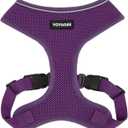 Best Pet Supplies Voyager Aerolite No Pull Mesh Dog Harness, Reflective Stitching, Breathable Harness, Adjustable for Walking, Training, Running, Heavy Duty and Durable, Purple, L (L (Chest: 20 - 25"))