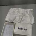 Blissy Silk Pillowcase - 100% Pure Mulberry Silk - 22 Momme 6A High-Grade Fibers - Silk Pillow Cover for Hair & Skin - Regular, Queen & King (Blissy White, Standard)