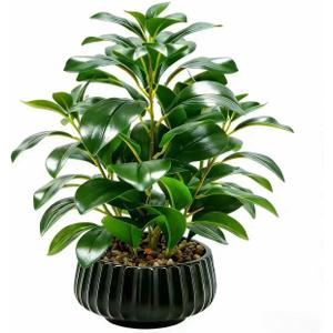 16" Artificial Peperomia Potted Plant in Black Ribbed Ceramic Planter Realistic Faux Green Leaves Tabletop Branches for Indoor Home Office Living Room Shelf Desk Decor, Plant C