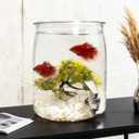 1.6 Gallon Plastic Fish Tank & Water Pitcher for Fridge with Faucet, Fish Bowl Easy to Change Water, Goldfish Beta Fish Aquariums Starter Kit With Aquarium Decor Plastic Plant + Shelles, Water Pitcher