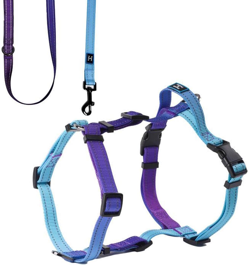 Roses&Poetry Dog Harness for Large Dogs, No-Pull Dog Harness and Leash Set Adjustable Reflective, Dog Vest Harnesses Comfort Padded Handle, Pet Harness for Training Outdoor WalkingGsky-L