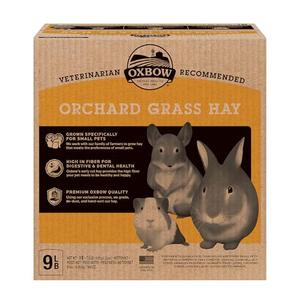 Oxbow Animal Health Orchard Grass, Guinea Pig Hay, Rabbit Hay, Small Pet Bunny Supplies, All Natural Grass for Guinea Pig, Bunny, Chinchilla & Hamster, Oxbow Rabbit Supplies for Bunnies, 9 lb. box