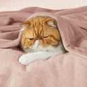 Bedsure GentleSoft Fleece Blankets Queen Size Dusty Pink - Bed Blanket Soft Lightweight Plush Fuzzy Cozy Luxury Microfiber, 90x90 inches
