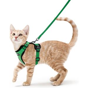 rabbitgoo Cat Harness and Leash for Walking, Escape Proof Soft Adjustable Vest Harnesses for Cats, Easy Control Breathable Reflective Strips Jacket, Grass Green, XS