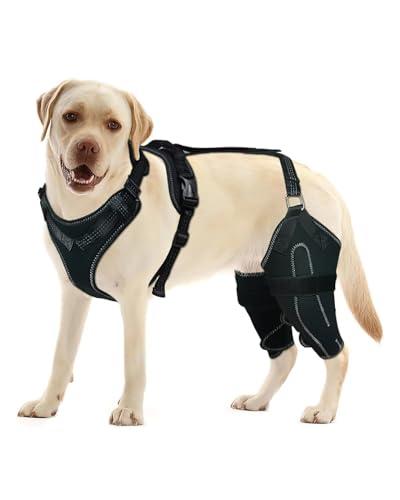 LISPOO Dog Knee Brace for Torn ACL/CCL Hind Leg,Adjustable Support with Sufficient Wrapping and Support & Luxating Patella,Non-Slip Joint Brace,Pain Relief&Better Recovery-Both Leg/L