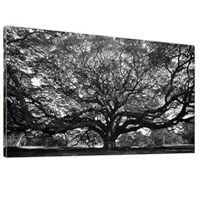Black White Big Tree Bathroom Canvas Wall Art -Large Nature Tree Art Wall Decor Framed for Office Bedroom Living Room-20"x40"
