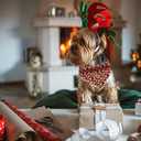 3 x Elegant little tail Christmas Dog Bandana, 1Pack Holiday Dog Scarf Dog Bandana Winter Adjustable Dog Scarf Handkerchief Boy Girl Dog Bibs Scarf for Square Dog Kerchief for Small Large Dogs (Snowmen)