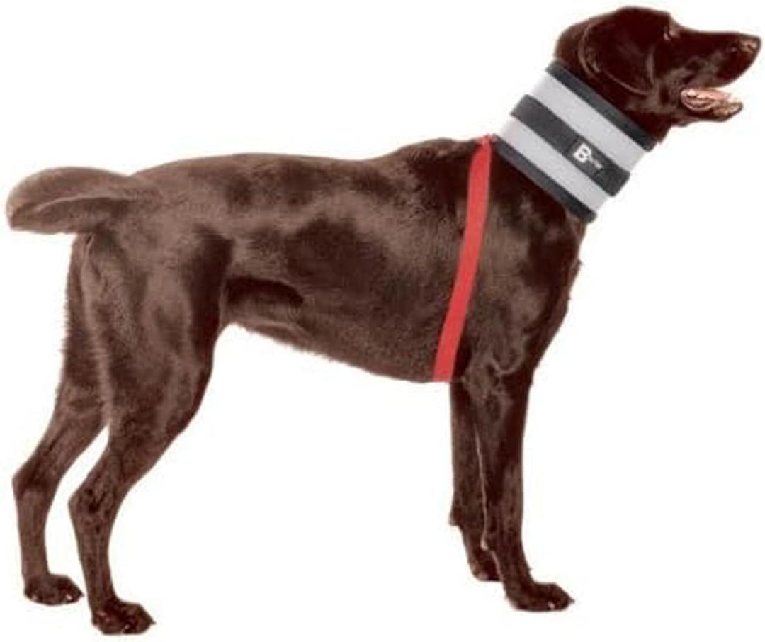 Collar, 6" W x 27" L