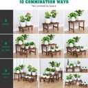3 Tiered Small Plant Stands Shelf Indoor Outdoor,Wood Flower Pot Stand Holders Rack,Freestanding Corner Ladder Shelves for Plants Succulent Cactus,on Patio,Desktop,Window