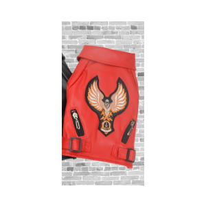 Motorcycle Bikers Eagle Dog Jacket, small