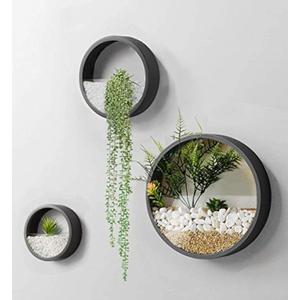 Metal Wall Planter,Round Hanging Wall Vase Planters for Succulents |Flower Pot Wall Planters for Plants,Succulent Plants, Small Cactus and More,Home Wall Decor |Black Color | in Gift Box 3 Pcs