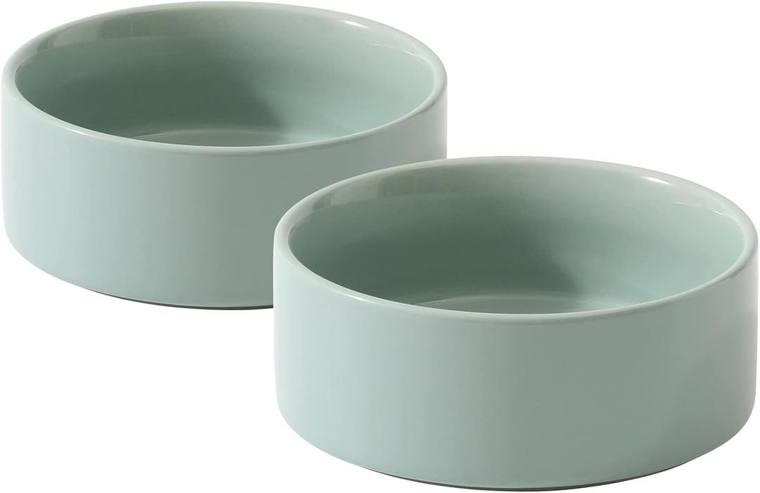 Havniva Cat Water Bowl Set of Two, 5.1 Ceramic Cat Food and Water Bowl Whisker Friendly Pet Water Bowls for Indoor Cats, Wide Kitten Dish Relieve Whisker Fatigue Non Slip Cat Feeder