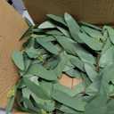 Briful 16'' Artificial Seeded Eucalyptus Wreath for Front Door Small Faux Greenery Wreath Outdoor Spring Summer Wreaths for Home Room Wall Mantel Farmhouse Decoration