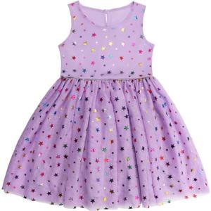 DaniChins Girls Sleeveless Tutu Dress Layered Tulle Sparkle Dress for Girls (Purple)