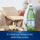 S.Pellegrino Sparkling Natural Mineral Water, Plastic Bottles, 16.9 Fl Oz (Pack of 12) (EXP 12/01/26)
