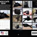 Black Cat Calendar 2026 Wall Black Cats Gifts For Cat Lovers Monthly Calender 12 Month | American Made In The USA