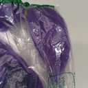 Topcosplay 24 inch Girls Long Purple Braid Cosplay Wig Halloween Party Costume Wig