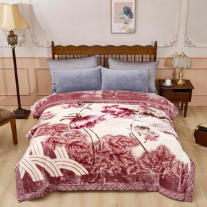 5.5 lbs Korean Mink Blanket 5979 inch,2 Ply Reversible Super Soft Cozy Luxury Bed Blanket., Throw 55x75 Inch