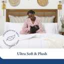 Cosy House Collection Luxury Down Alternative Comforter - Blend of Rayon Derived from Bamboo - Dorm Room Essentials - All Season Use - Box Stitch Construction & Duvet Loops (Twin/Twin XL, Cream)