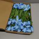 30 PCS Artificial Tulips Real Touch Tulips 13.5inch Long Stem Fake Flowers Silk Flowers for Spring Easter Mother's Day DecorationsLight Blue