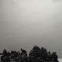 Black Christmas Tree, 6ft Artificial Tinsel Christmas Tree for Home Decorations550 Branch Tips Premium Hinged Holiday Xmas Tree for Halloween Decor