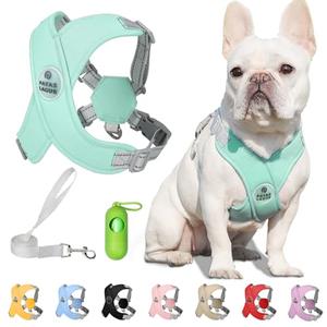 Patas Lague Dog Harness with Leash Set Adjustable Soft Padded Step-in Dog Vest No Choke No Pull Reflective for  Pets with Poop Bags and Dispenser, Solid and No-chew, Green Small
