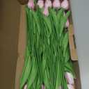 Sggvecsy 30 Pcs Fake Tulips Artificial Flowers Real Touch PU Faux Flowers Tulip Stems for Wedding Spring Bouquet Floral Arrangement Home Party Office Decorations for Mother's Day (Light Pink)