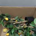 Artificial Lemon Tree 4ft Fake Lemon Plant in Pot Large Fake Floor Plants Faux Trees Indoor Lemon Decorations for Home Living Room Office