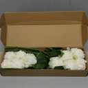 10pcs White Silk Peonies with Single Stem - Faux Flowers for Wedding Table Centerpieces, Home Decorations, Bridal Bouquets & Floral Arrangements