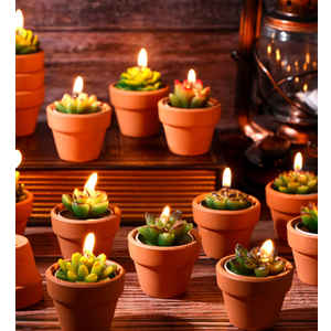 Lounsweer 24 Pcs Succulent Decorative Cactus Tealight Candles with Mini Terracotta Clay Candle Holders for Wedding Baby Showers