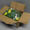 2 Pcs Artificial Lemon Flower Garland Vine, 14 Ft Fake Yellow Lemon Vines Silk Flowers Hanging Floral Garlands Decoration for Room Wall, Flower Themed Party, Wedding Supplies